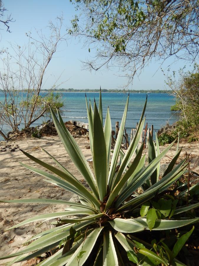 Blue Monkey Beach Cottages Shimoni ภายนอก รูปภาพ