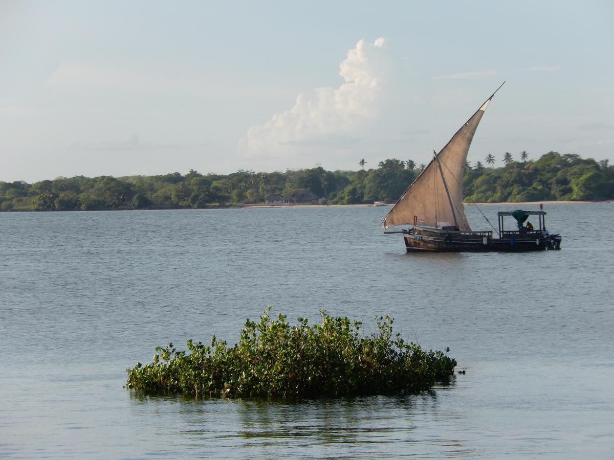 Blue Monkey Beach Cottages Shimoni ภายนอก รูปภาพ