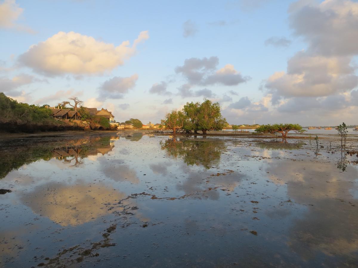 Blue Monkey Beach Cottages Shimoni ภายนอก รูปภาพ