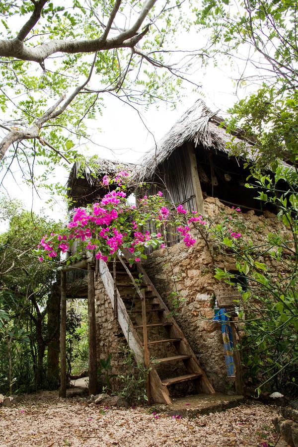 Blue Monkey Beach Cottages Shimoni ภายนอก รูปภาพ